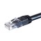 Monoprice Cat6 Outdoor Rated Ethernet Patch Cable - Molded RJ45 Connectors_ Stra 36218 - alternate 5